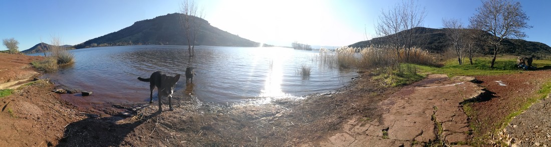 IMG_20190102_144602 MT.jpg