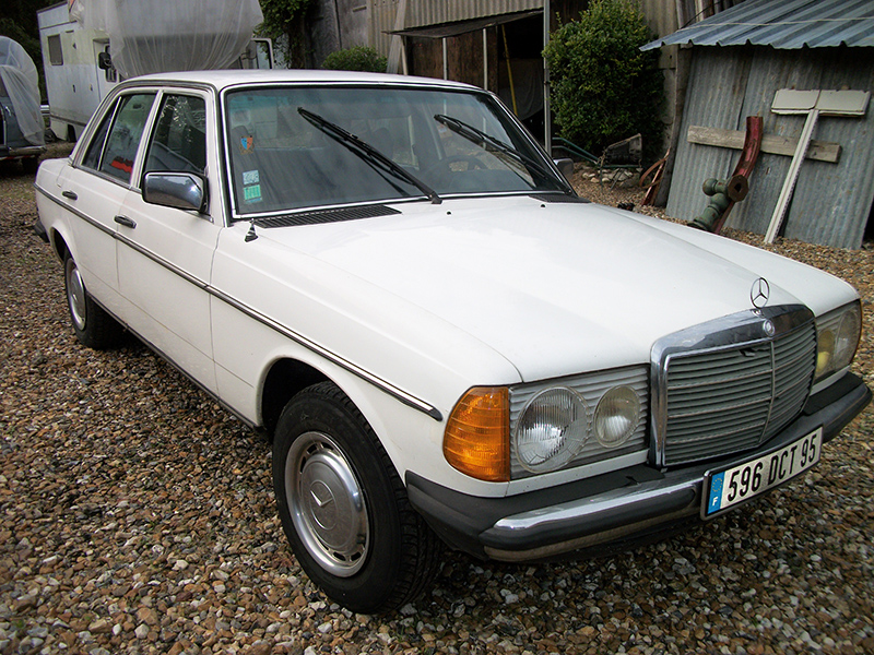 w123.jpg