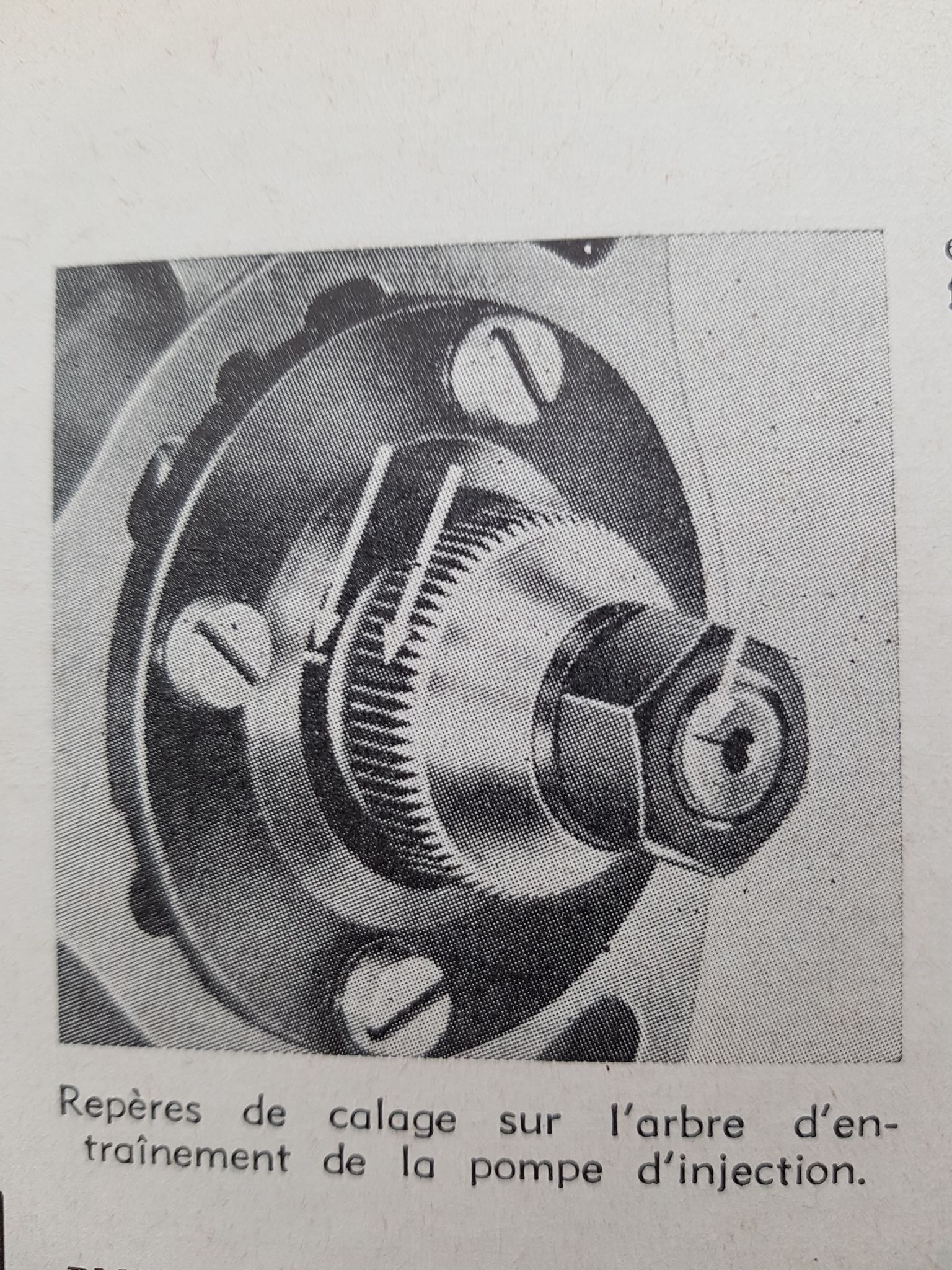 146105746_167608438213830_1039276853570582467_n.jpg