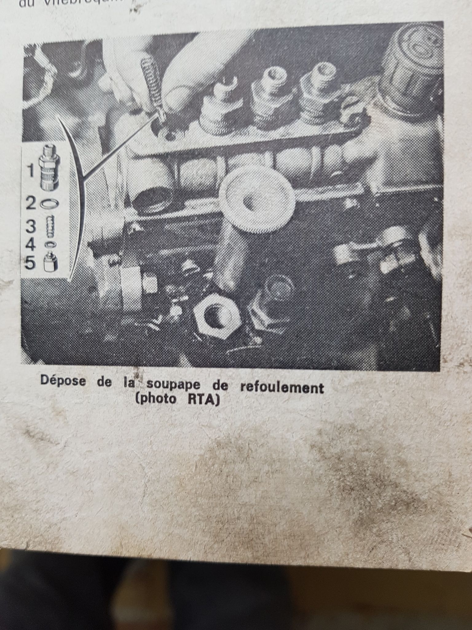 146191458_418265925916143_3026997149425003523_n.jpg