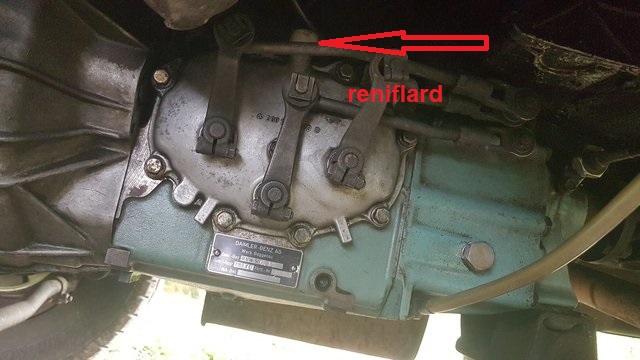 reniflard.jpg