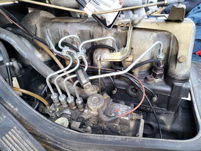 IMG20250409145301.jpg