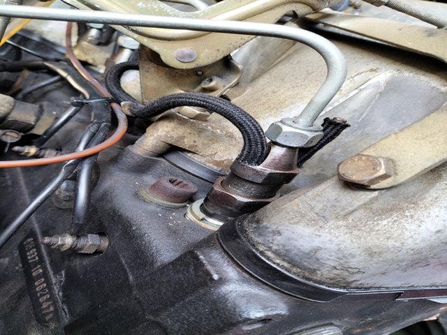 IMG20250409145316.jpg