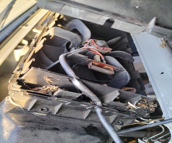IMG20250411192433.jpg