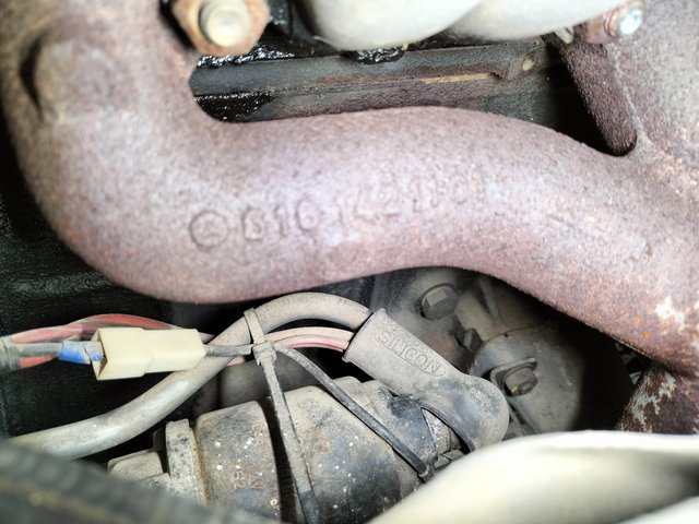 IMG20250417180933.jpg