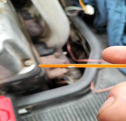 IMG20250424153808.jpg
