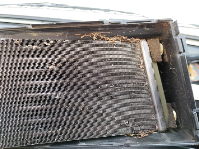 IMG20250423154330.jpg