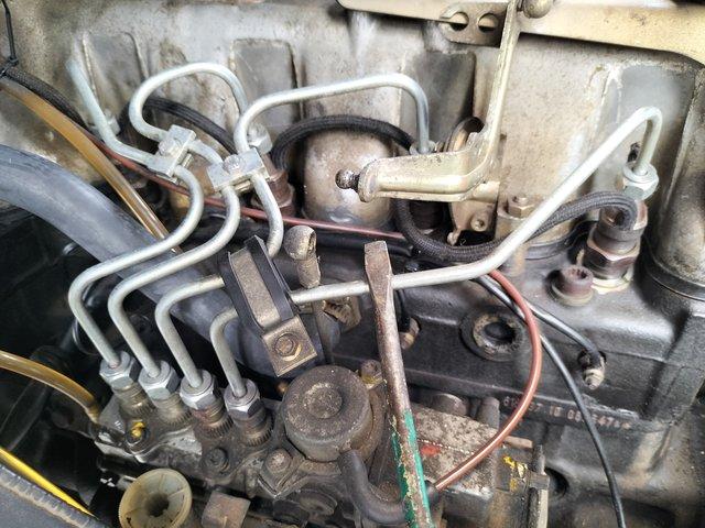 IMG20250504150051.jpg