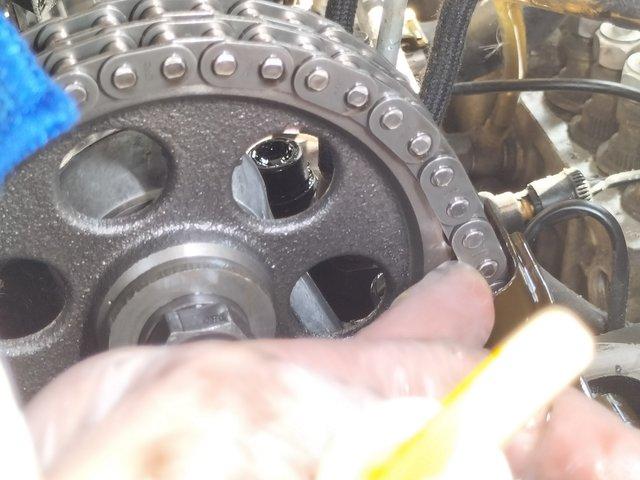 IMG20250504174129.jpg