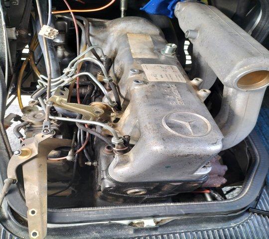 IMG20250504180655.jpg