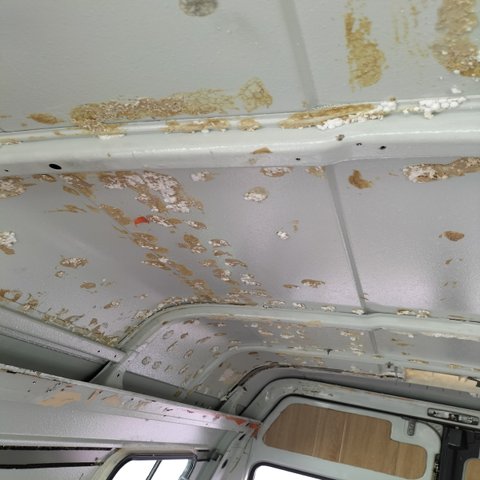 IMG20250512165529.jpg