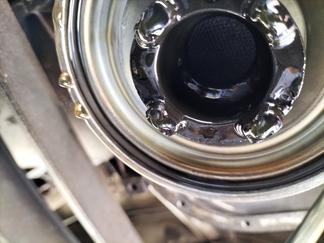 IMG20250619172107.jpg