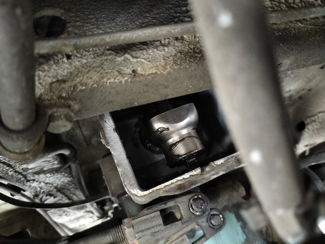 IMG20250621110156.jpg