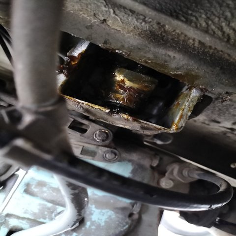 IMG20250621110753.jpg