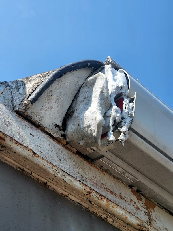 WhatsApp Image 2026-01-01 at 23.24.39 (1).jpeg